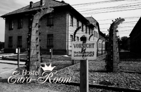 Auschwitz-Birkenau Museum – 2,5 h