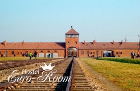 Auschwitz-Birkenau Museum and Wieliczka Salt Mine – 1 day tour