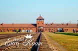 Auschwitz-Birkenau Museum and Wieliczka Salt Mine – 1 day tour